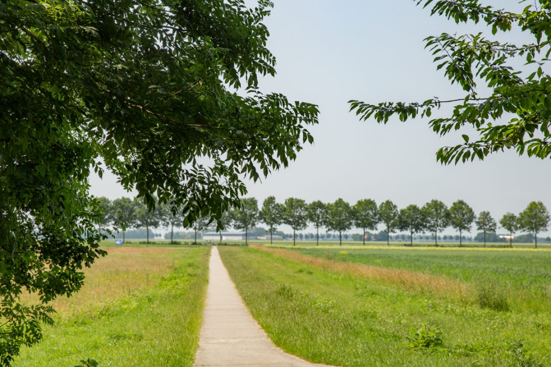 Nederlandse zomer mogelijk nog weken van slag