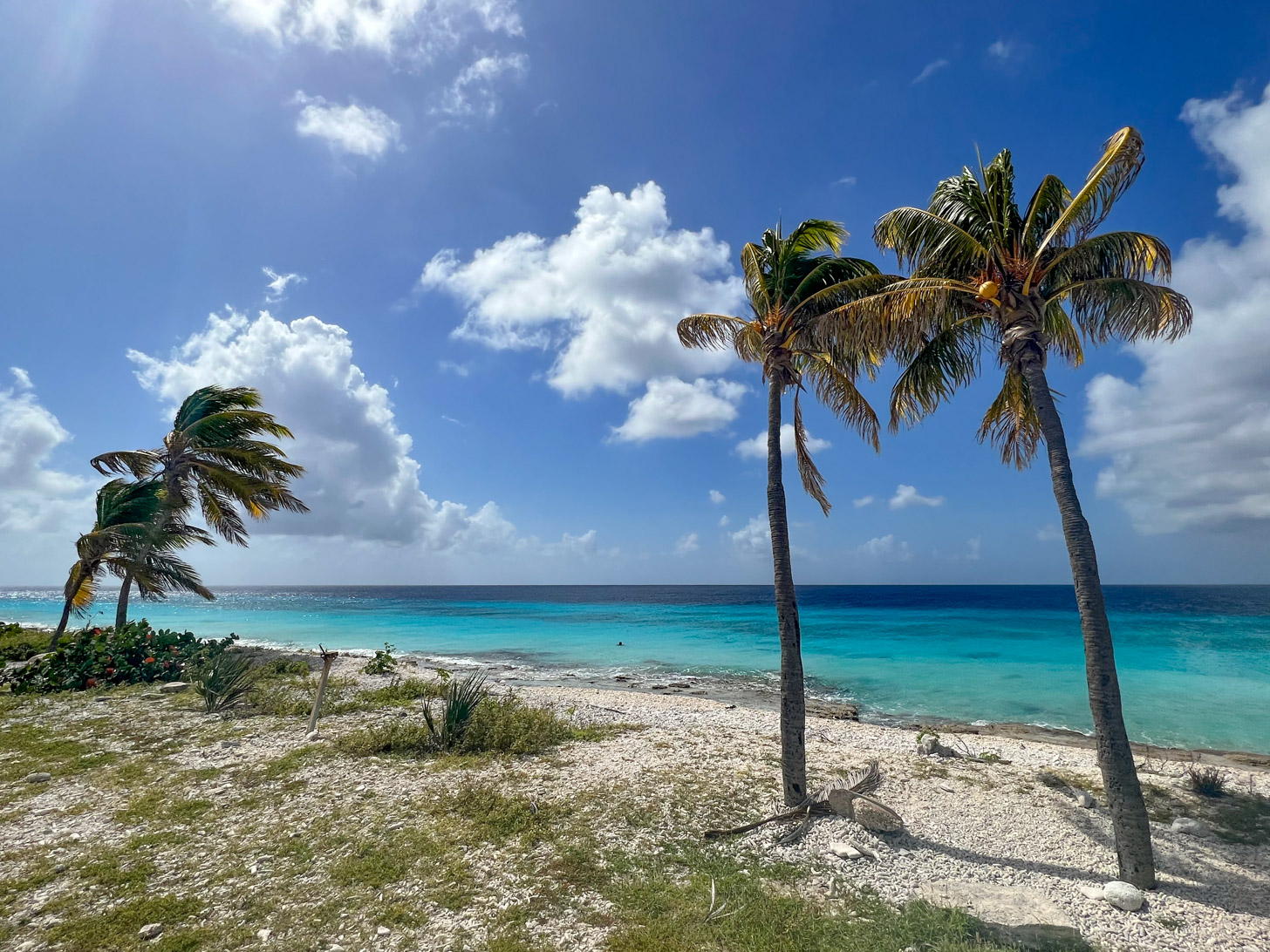 De 7 beste stranden van Bonaire