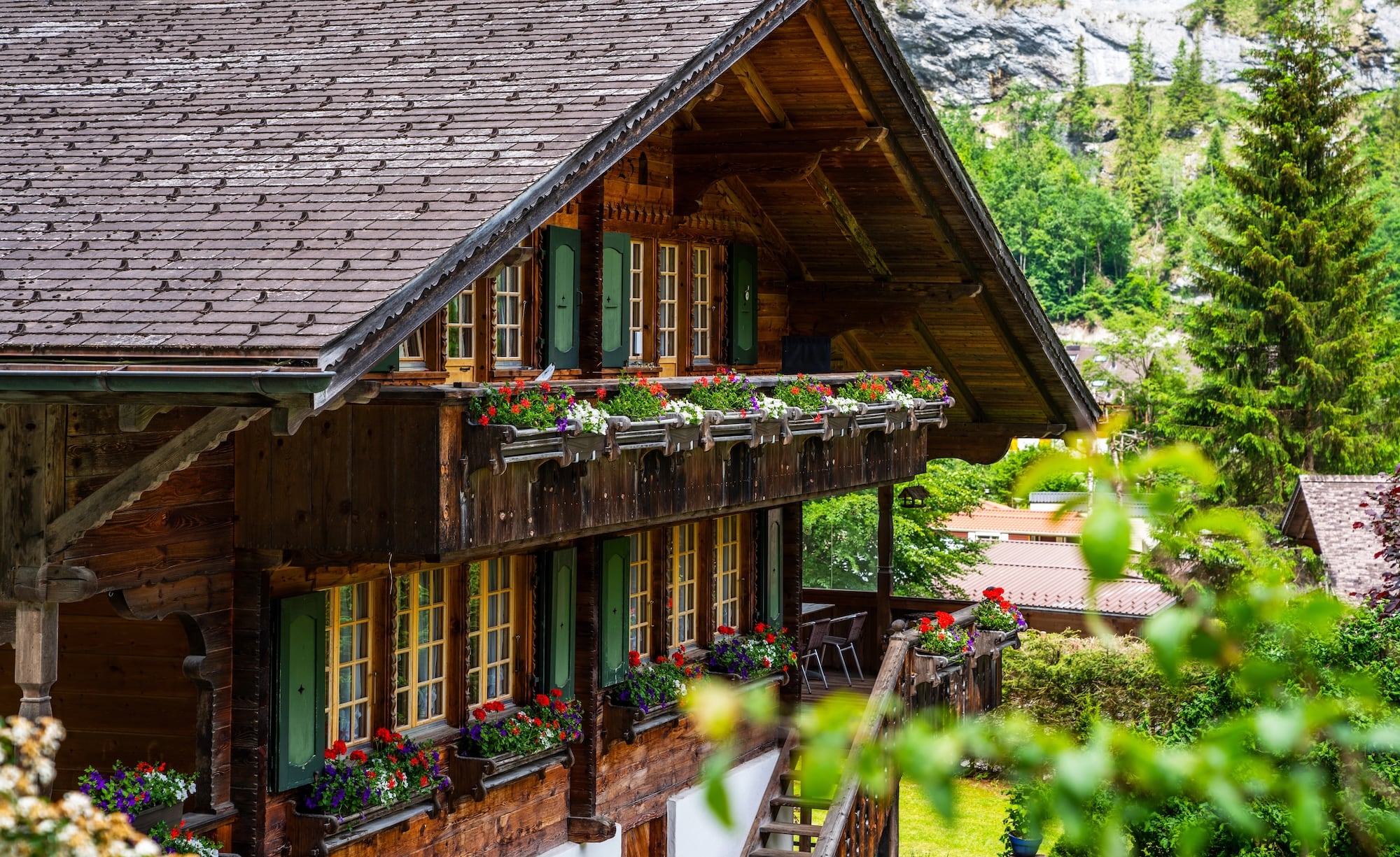 vakantiehuisje in de natuur