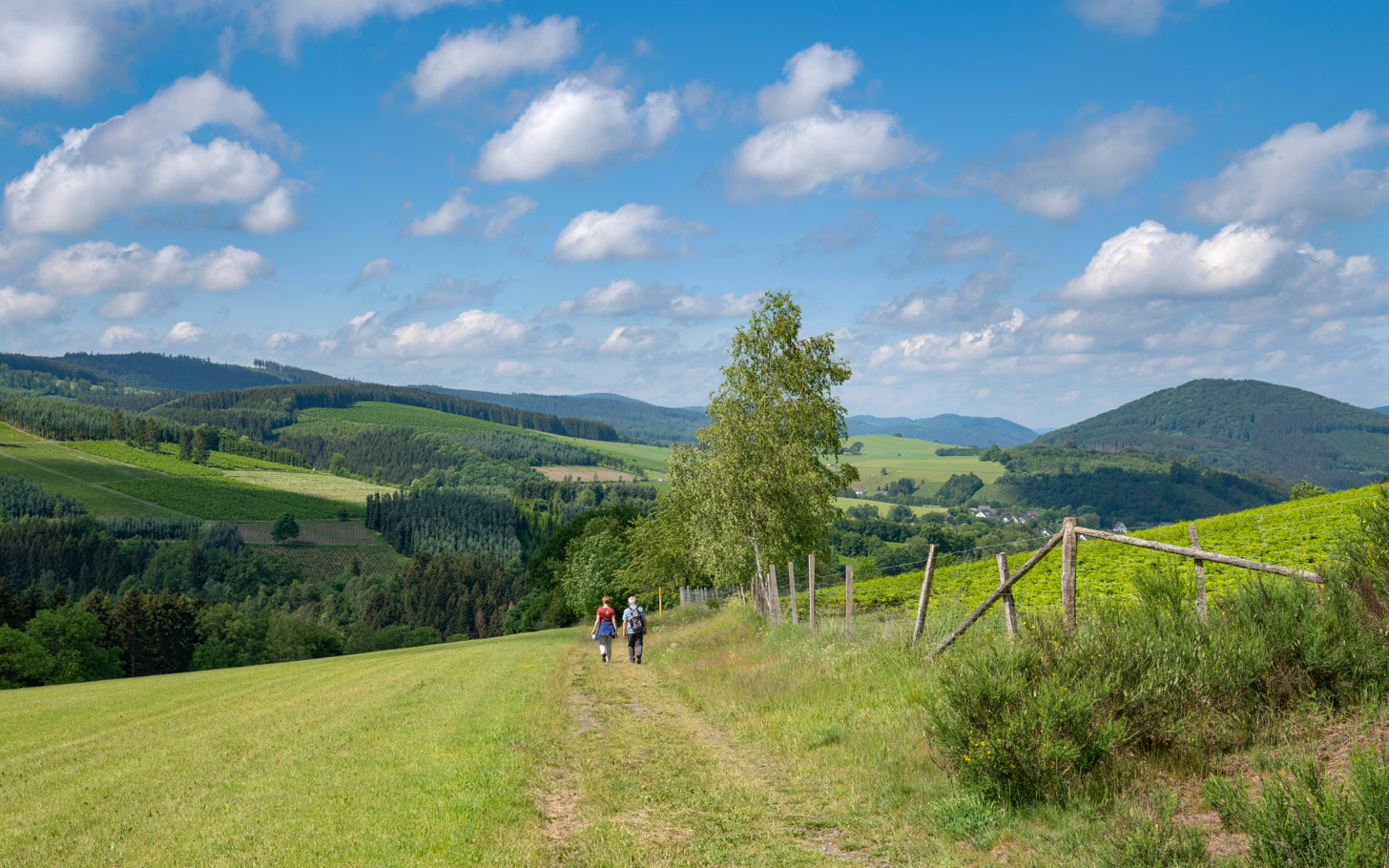 Wandelen met uitzicht: voor mooie vergezichten hoef je niet hoog de bergen in
